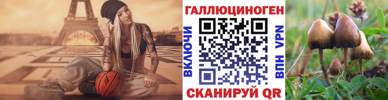 Псилоцибиновые грибы мухоморы  Купить закладки  Снежинск 