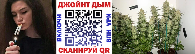 Марихуана сатива  Купить закладки  Снежинск 